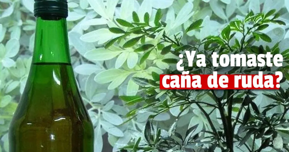 Ruda y caña para el nuevo tiempo: ¿Cuál es el significado de esta tradición?