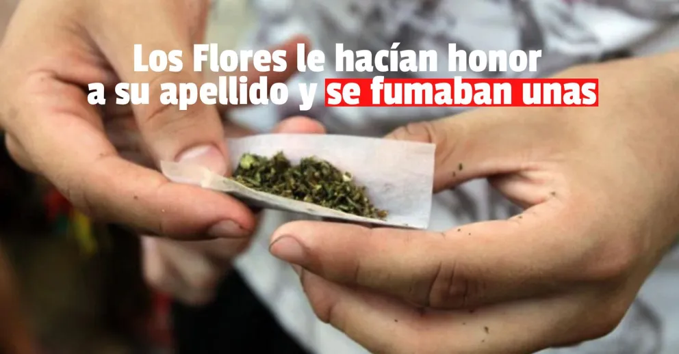 Detuvieron a dos jóvenes por tenencia de marihuana