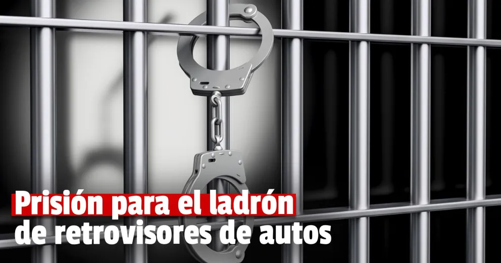 Condenaron a un ladrón reincidente: tres meses de prisión para él