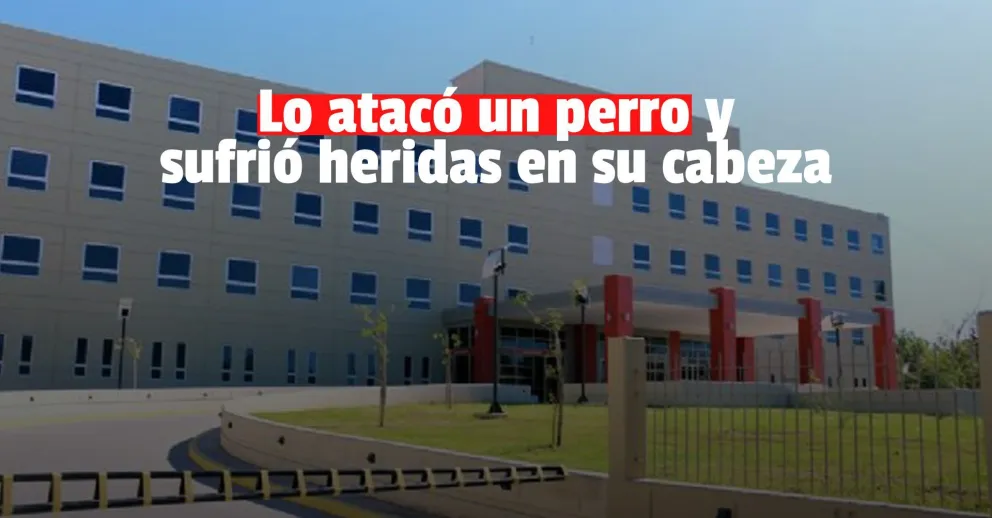 Santa Lucía: un niño de once años fue atacado por un perro