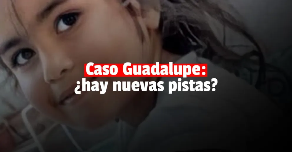 Guadalupe Lucero: siguen los rastrillajes y analizan pelos humanos hallados en un descampado
