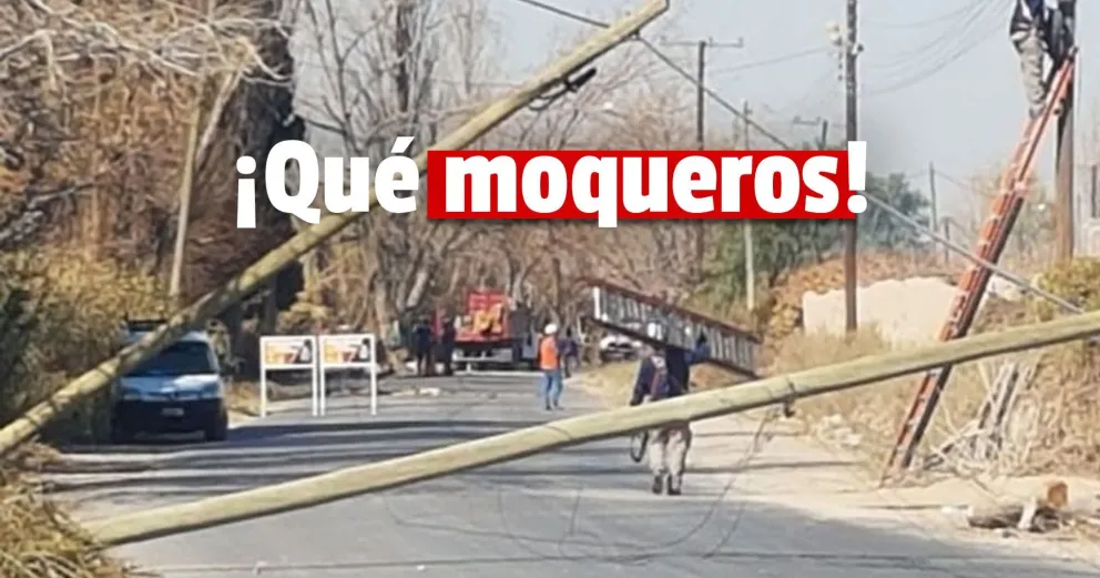 Empleados municipales causaron un desastre en Rawson: tiraron varios postes de luz