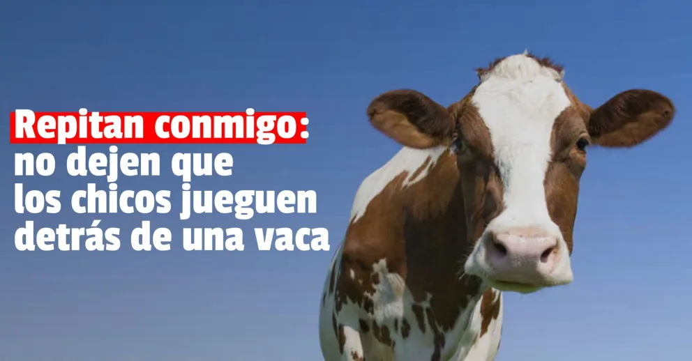 Una vaca pateó a una bebé en la cabeza y la mandó al hospital