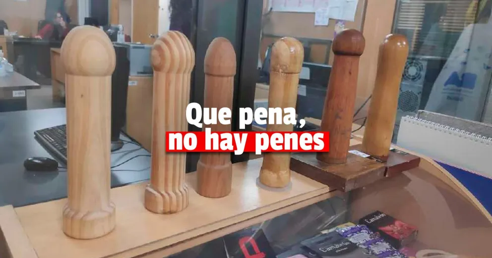 Por precios excesivos y otras irregularidades se cayó la licitación de los 10.000 penes de madera
