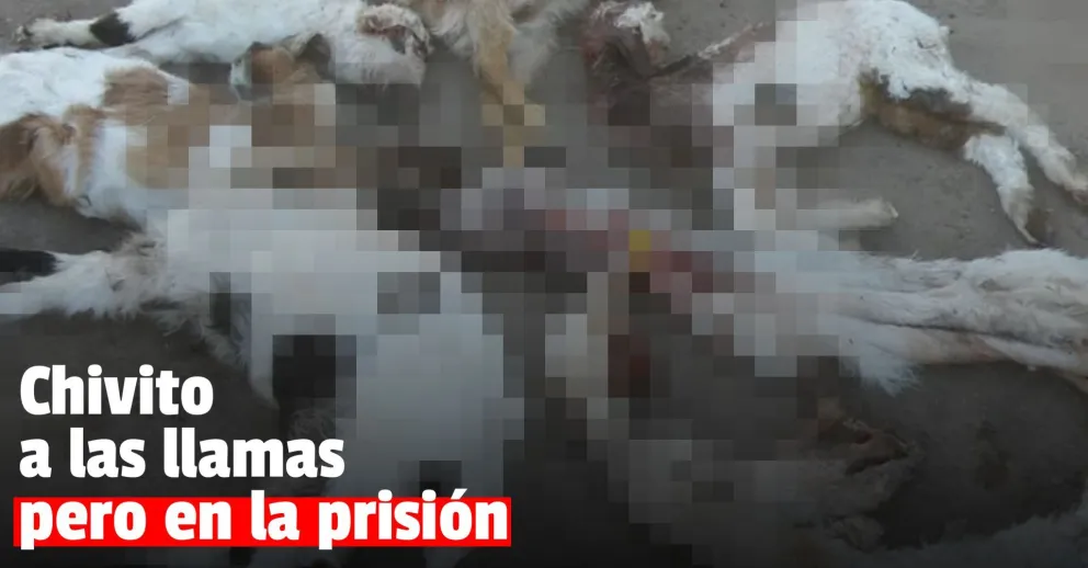 Detuvieron a dos personas por robarse varios chivitos de un corral