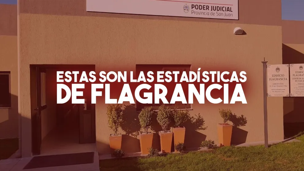 Flagrancia: desde que se creó, pasaron 2009 casos