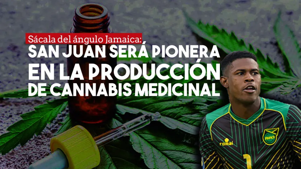 Es oficial: en San Juan habrá una empresa que producirá cannabis medicinal