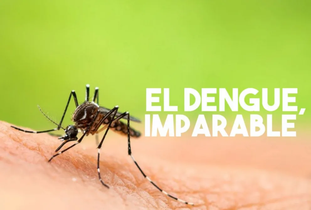 Los casos de dengue ya suman 54.870 y se convirtió en el mayor registro histórico del país