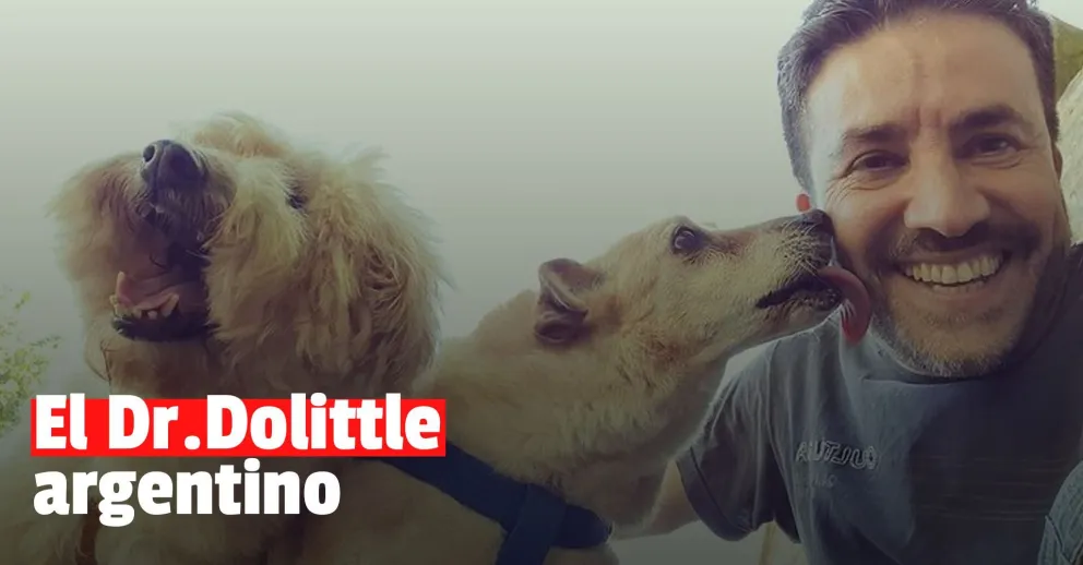 La historia de Copito y un investigador de la comunicación no verbal que trasciende fronteras