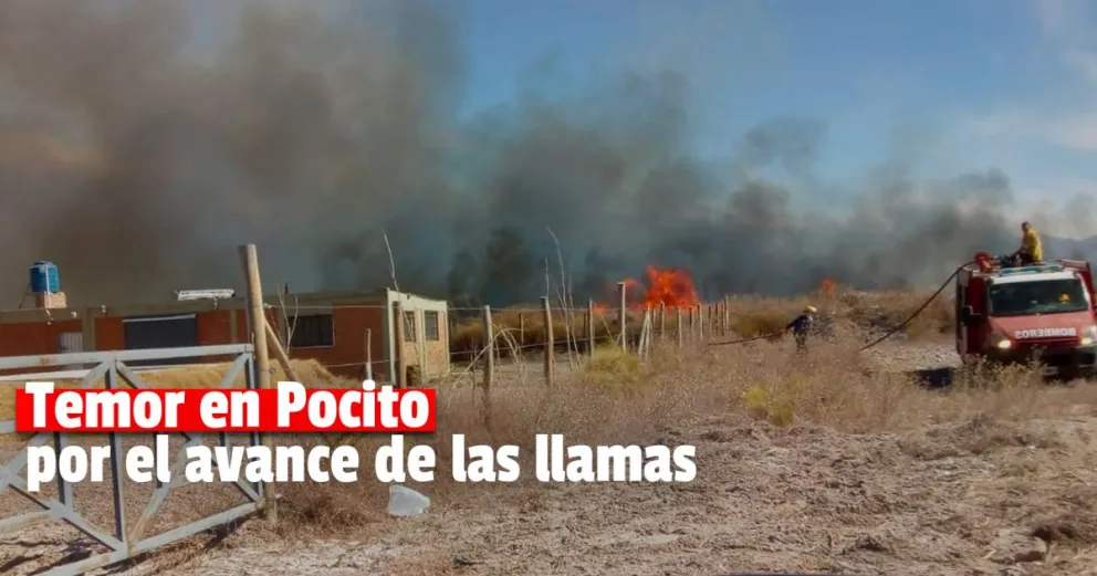 Importante incendio de pastizales puso en peligro a vecinos de Pocito