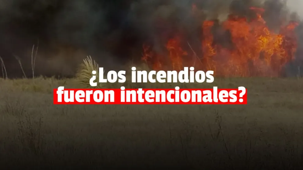 La Secretaría de Seguridad investigará la causa de los incendios