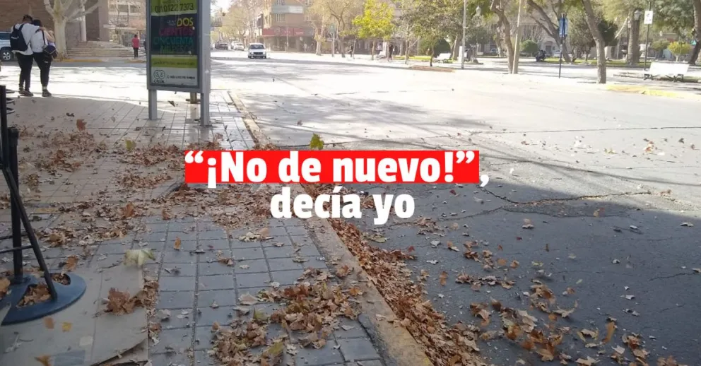 Anunciaron una nueva jornada con viento Zonda