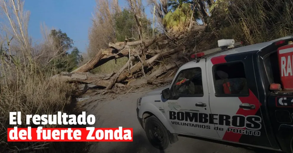 Por el fuerte viento hubo incendios y árboles caídos en Pocito