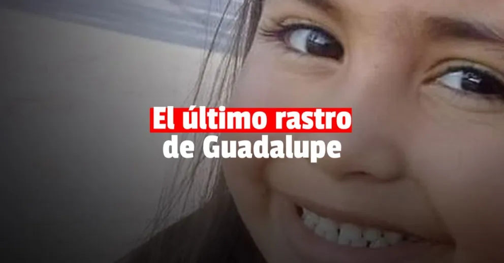 Un perro indicó un rastro de Guadalupe Lucero en una ruta