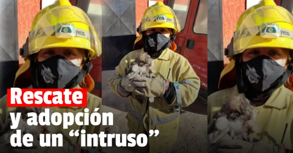 Un perrito se cayó a un pozo, lo rescataron y una bombera voluntaria lo adoptó