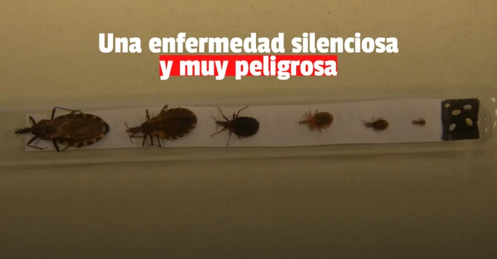 La importancia de concientizar sobre la enfermedad de Chagas