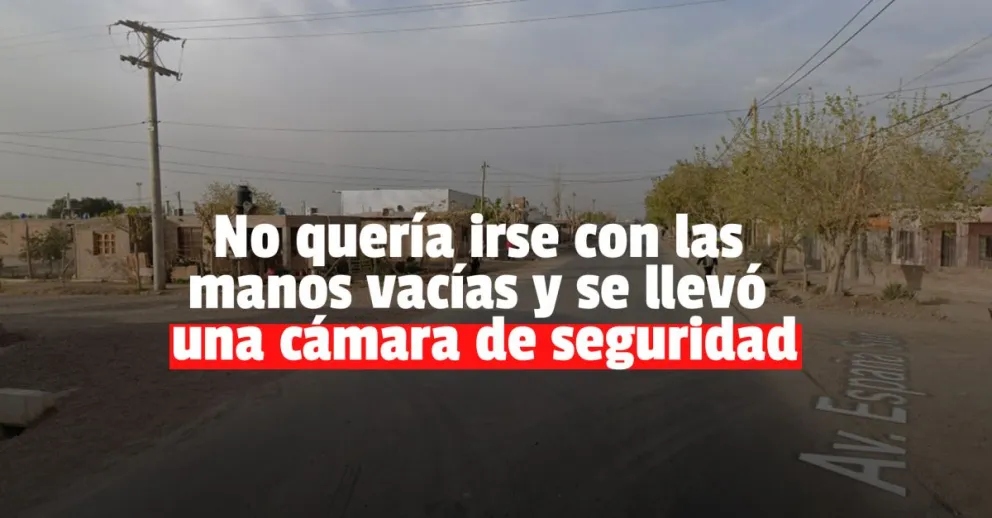 Quiso robar en una panadería y como no pudo, se llevó una cámara de seguridad