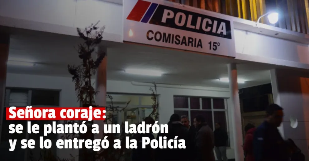 Entró a robar y la dueña de casa lo detuvo 