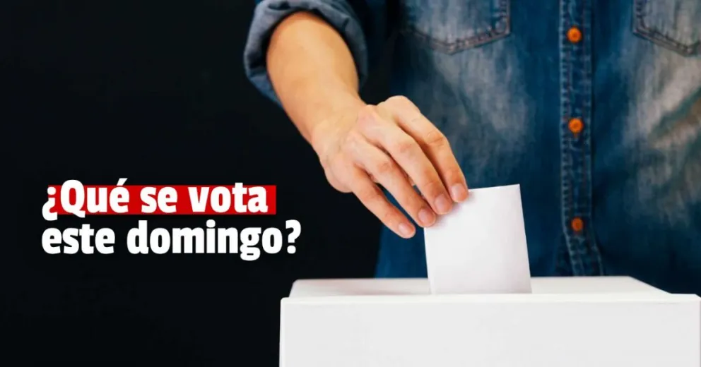 PASO 2021: este domingo San Juan elegirá diputados nacionales