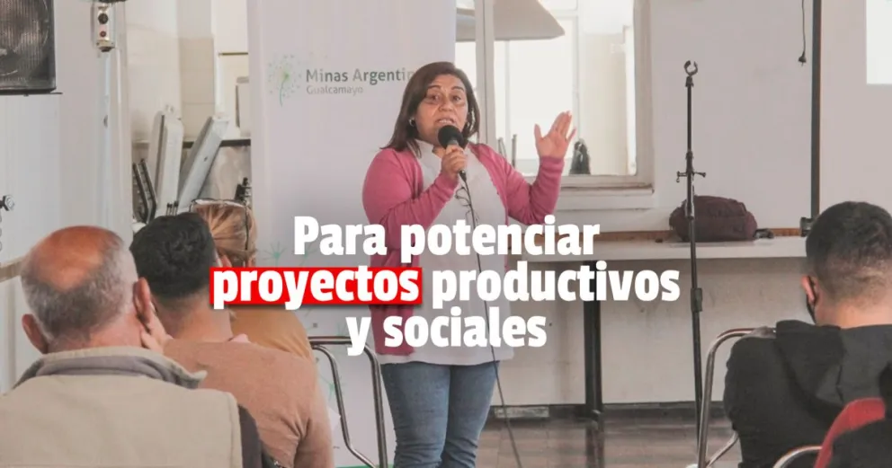 Seminario de Alianzas 2021: 70 instituciones participaron del programa de Minas Argentinas