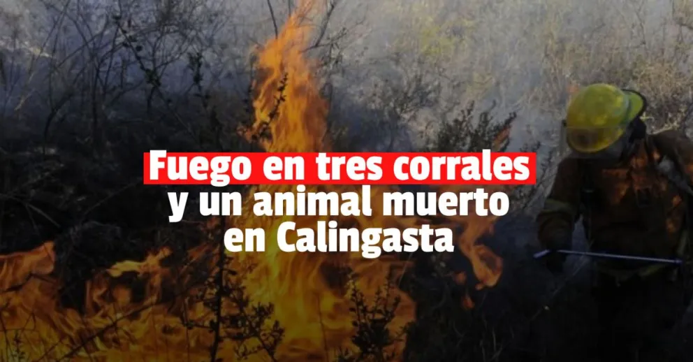 Se le incendiaron tres corrales y uno de los animales murió calcinado