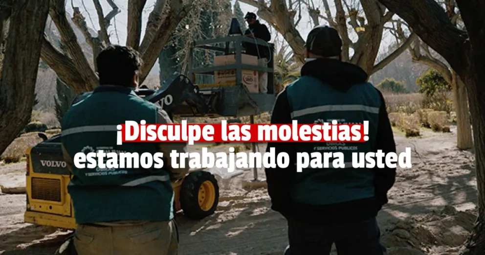 Se ejecutan tareas de reforestación en la Quebrada de Zonda