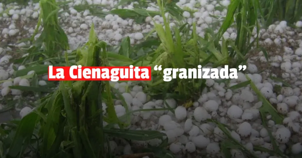 La Cienaguita amaneció "granizada"