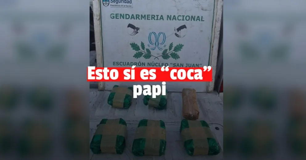 Incautaron un importante cantidad de hojas de coca de contrabando