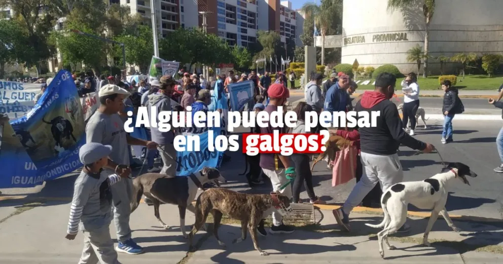 "Galgueros" marcharon y entregaron petitorios para volver a las carreras  