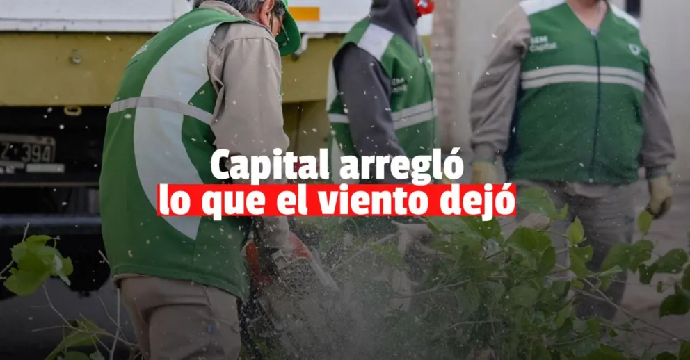 En tiempo récord, Capital solucionó todos los reclamos por el viento 