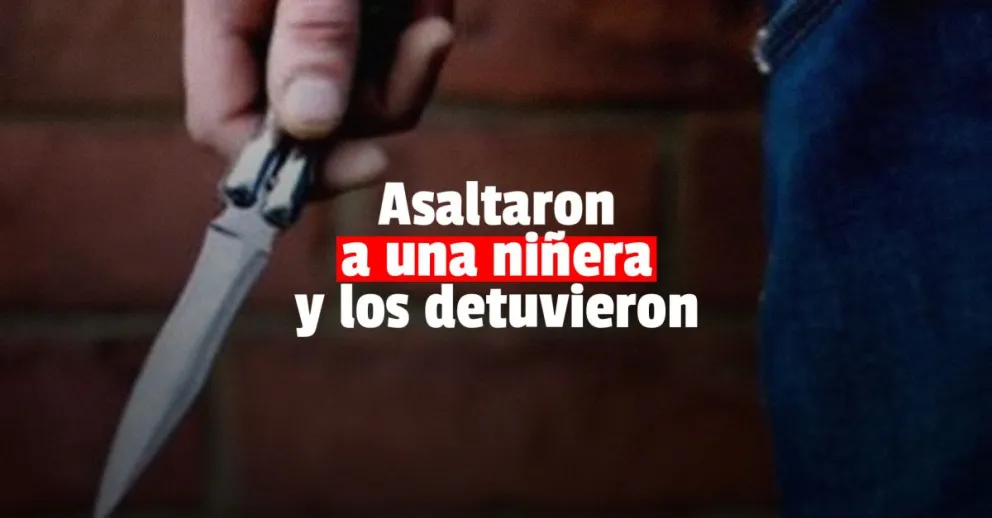 Asaltaron a una mujer mientras cuidaba a un nene