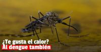 La llegada del calor aumentó la probabilidad de aparición de Aedes Aegypti y desde Salud comenzaron con la prevención