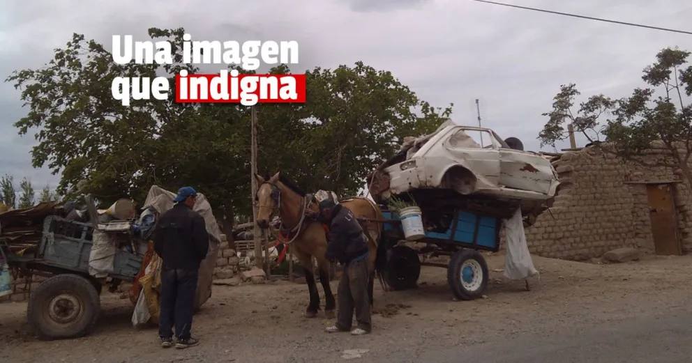 Obligaron a un caballo a trasladar una pesada carga y generó el repudio de los proteccionistas