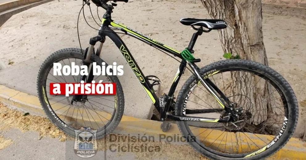 Prisión efectiva para los dos ladrones que le robaron la bicicleta a un obrero