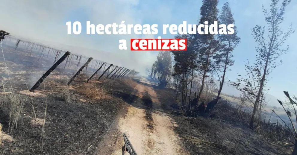 Preocupación en Carpintería por la rápida propagación del fuego en unos pastizales