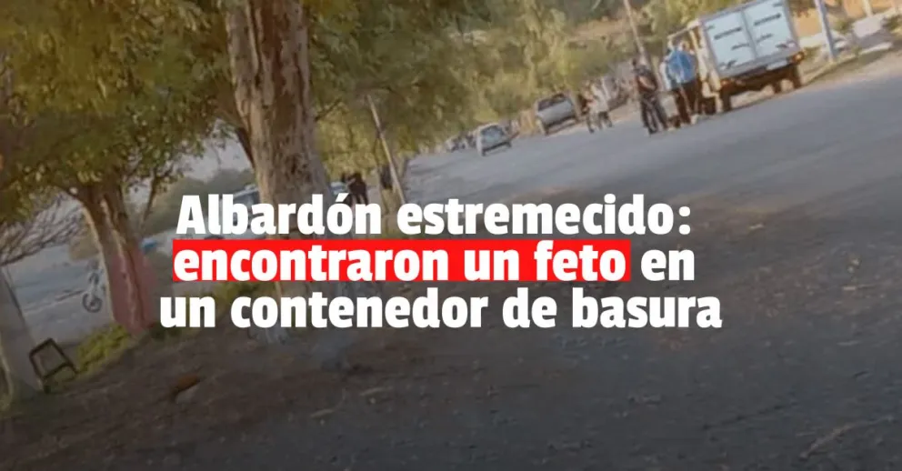 Encontraron un feto en una caja de cartón en Albardón