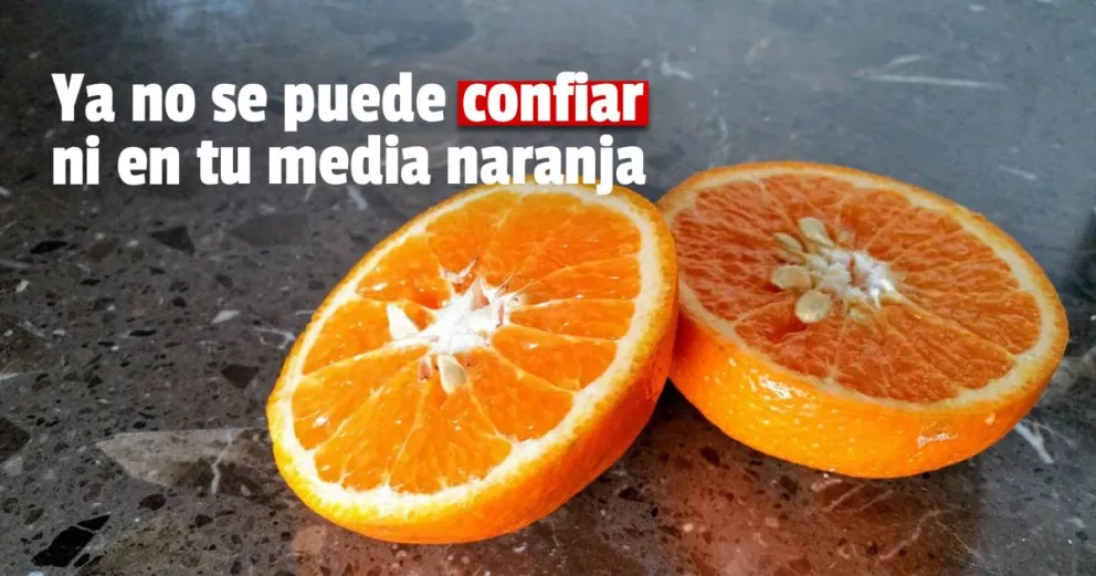 Detienen a una “viuda negra” por robarle a su pareja una cifra millonaria