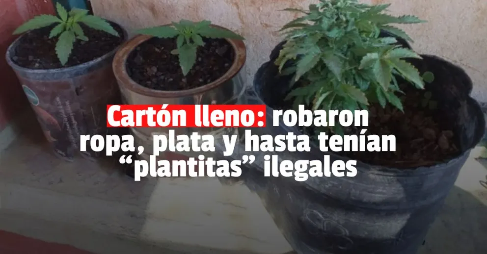 Desvalijaron un local de ropa, los detuvieron y hasta les encontraron droga 