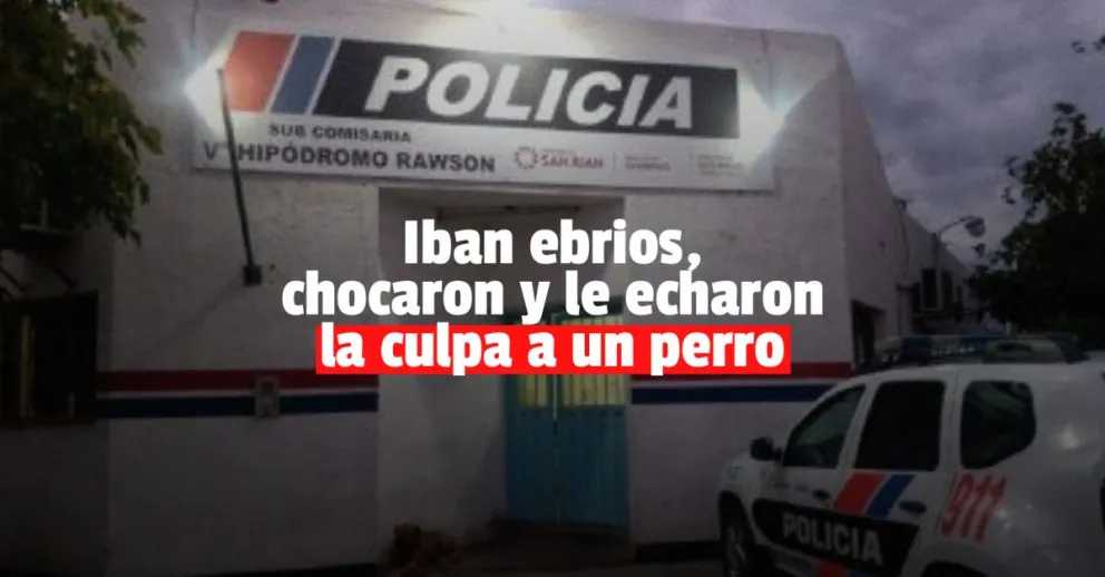 Iba en estado de ebriedad y terminó estrellándose contra una palmera