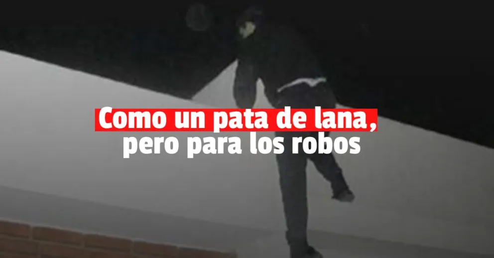 Se robó un televisor e intentó escapar por los techos