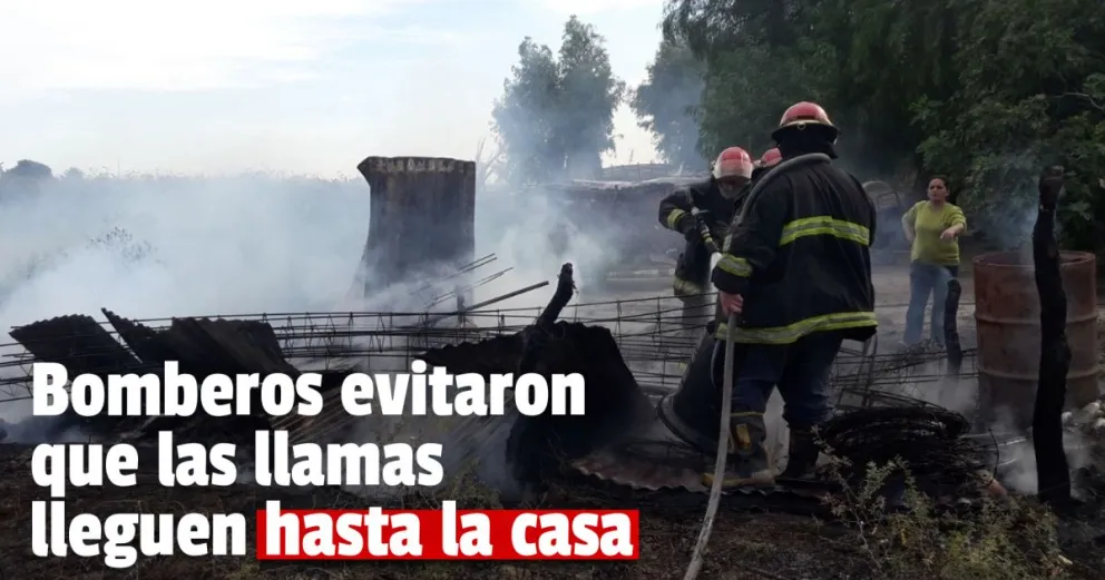 Un incendio en el Médano arrasó con una despensa y un cerdo