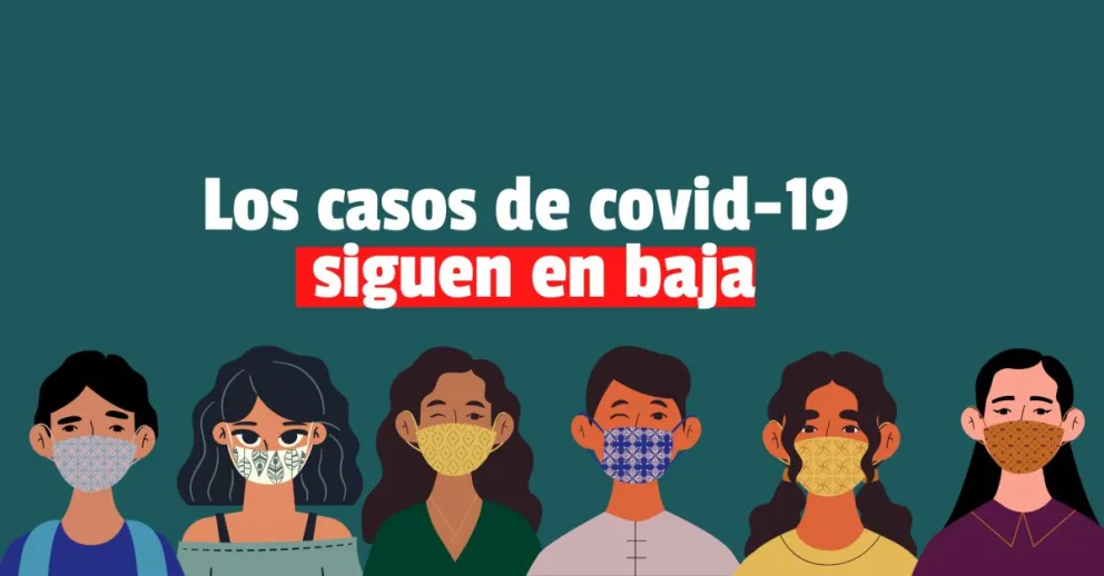 En las últimas 24 hs se registraron 28 nuevas muertes y 753 casos en el país