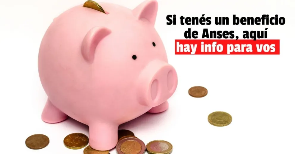 ¿Cómo tenés que hacer para que Anses te devuelva plata con tus compras?