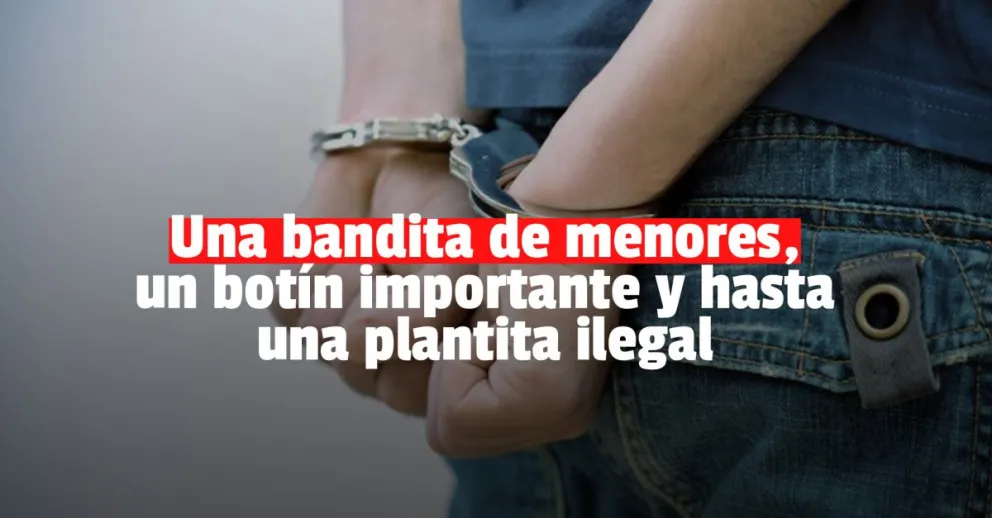 Un menor de 13 años detenido por meterse a robar a una casa