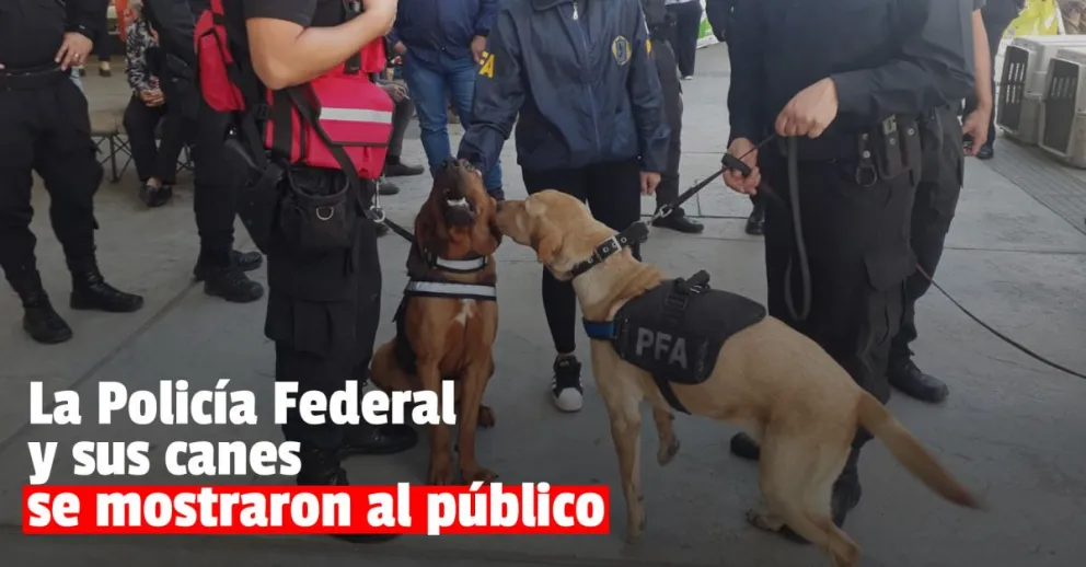 La Policía Federal expuso su trabajo “a puertas abiertas” y mostró a sus perros especializados 