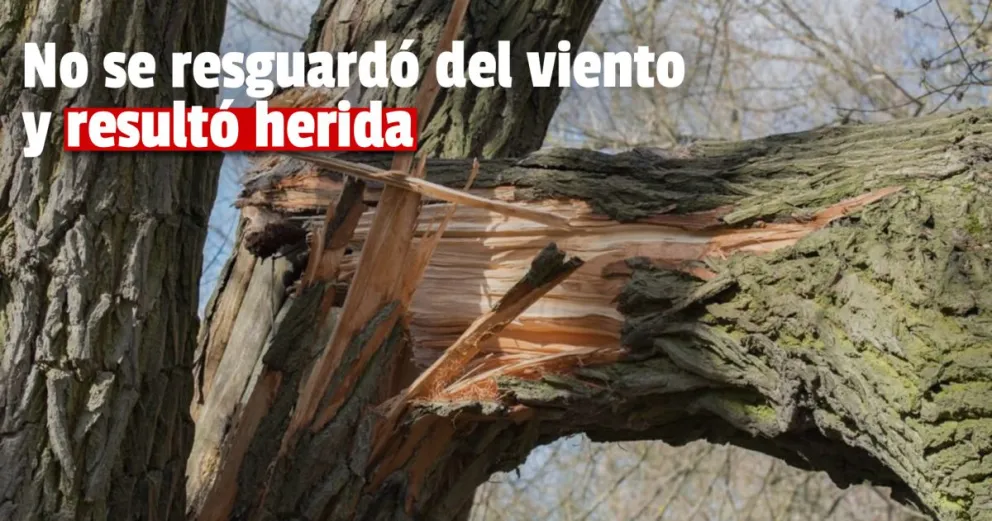 Una rama cayó sobre una mujer en una plaza céntrica