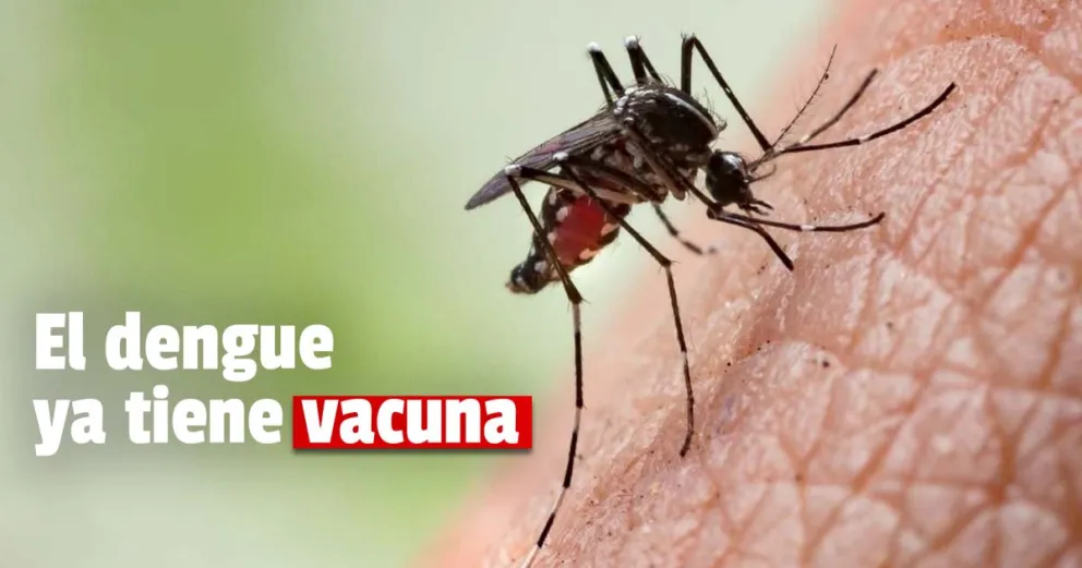 Ya está lista la vacuna contra el dengue 