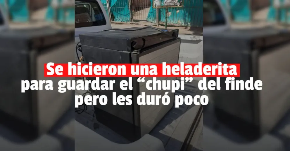 Le encontraron a una heladera robada y hasta una planta de marihuana 