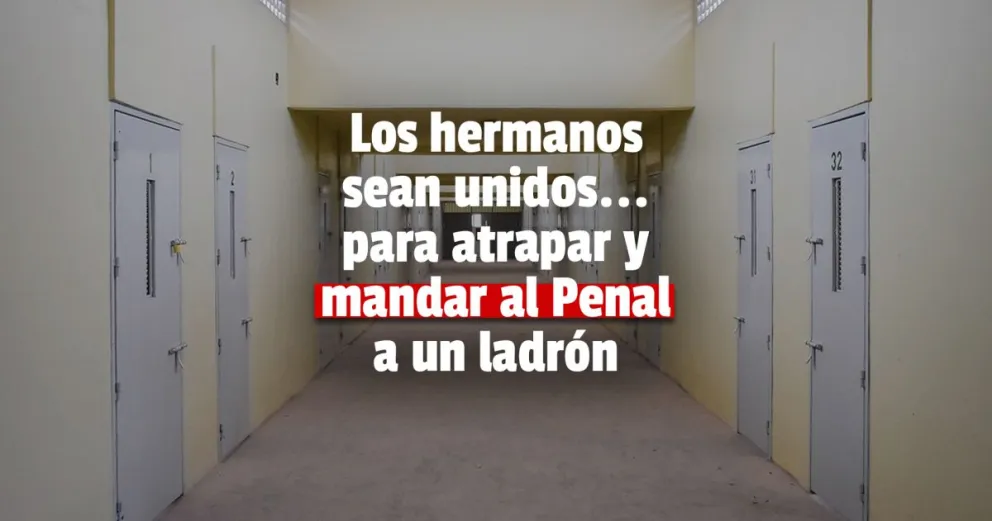 Condenan a más de seis años de prisión a un ladrón por robar en dos camionetas