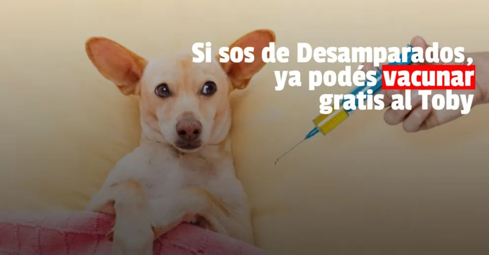 La campaña de vacunación de mascotas llega a Desamparados 